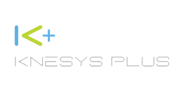 knesis